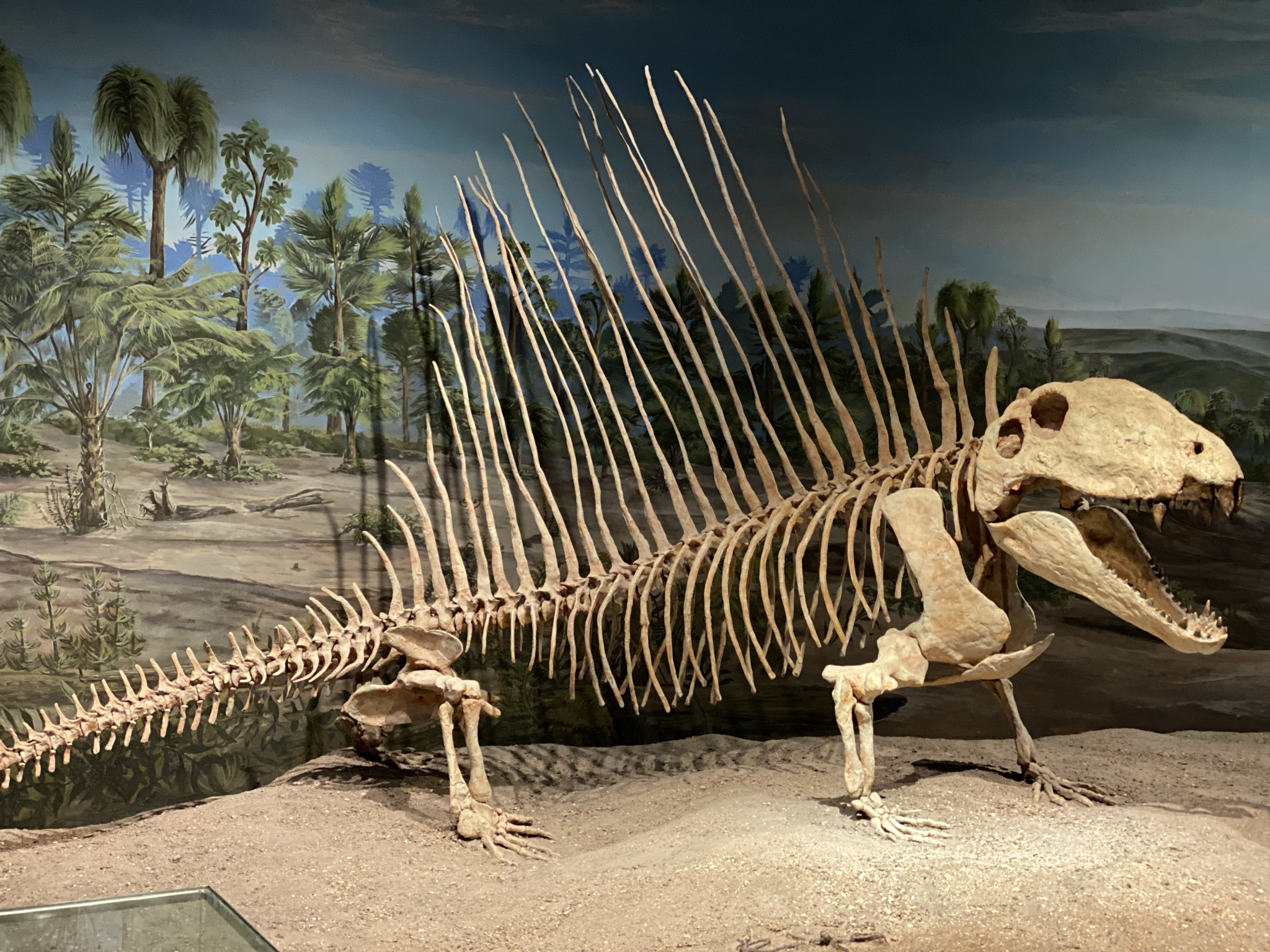 dinosaur at Drumheller museum